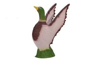 BEIER 3D CANARD ENVOL