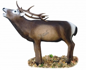 AA 3D CERF ROUGE G1