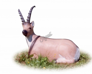 AA 3D BOUQUETIN COUCHE G1