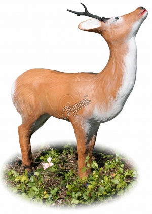 AA 3D CHEVREUIL QUI MANGE G3