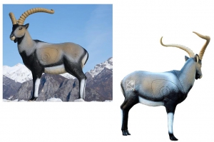 SRT CIBLE 3D BOUQUETIN G1