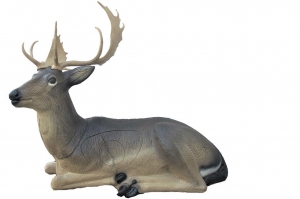 SRT CIBLE 3D CERF COUCHE G2
