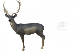 SRT CIBLE 3D CERF DEBOUT G1