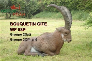 NATURFOAM BOUQUETIN GITE