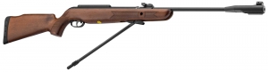 GAMO CFX ROYAL 4.5 CANON FIXE