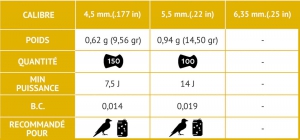GAMO 5.5 ROCKET 5.5 *100