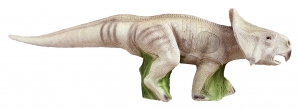 ELEVEN 3D PROTOCERATOPS G3