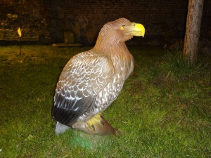NATURFOAM AIGLE MARRON G2/3