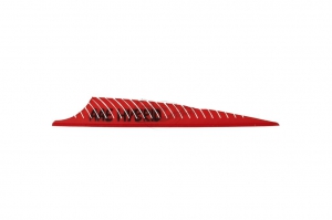 AAE PLUME PHNX 3.75