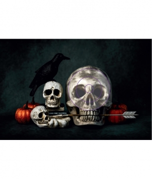 ITALSO BLASON M. FLECHE MORTE