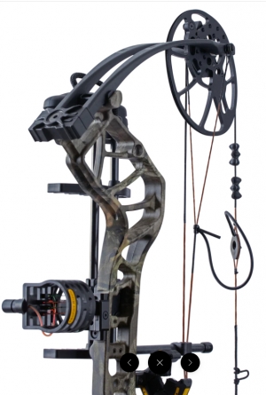 BEAR LEGIT MAXX ROOTS RTH