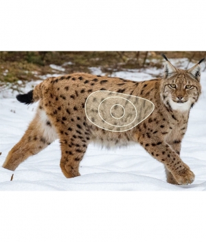 ITALSO BLASON M. LYNX 72*48CM