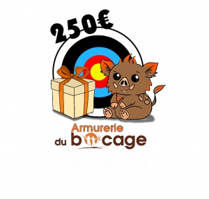BON D'ACHAT 250